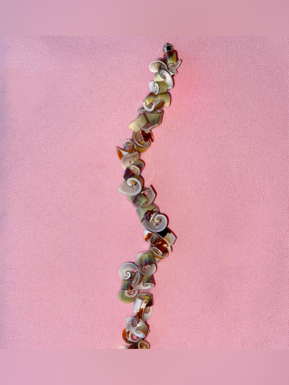 Genuine Seashell Bracelet Brown White Green Hawaii Island Mermaid Curly Conch - Picture 2 of 5